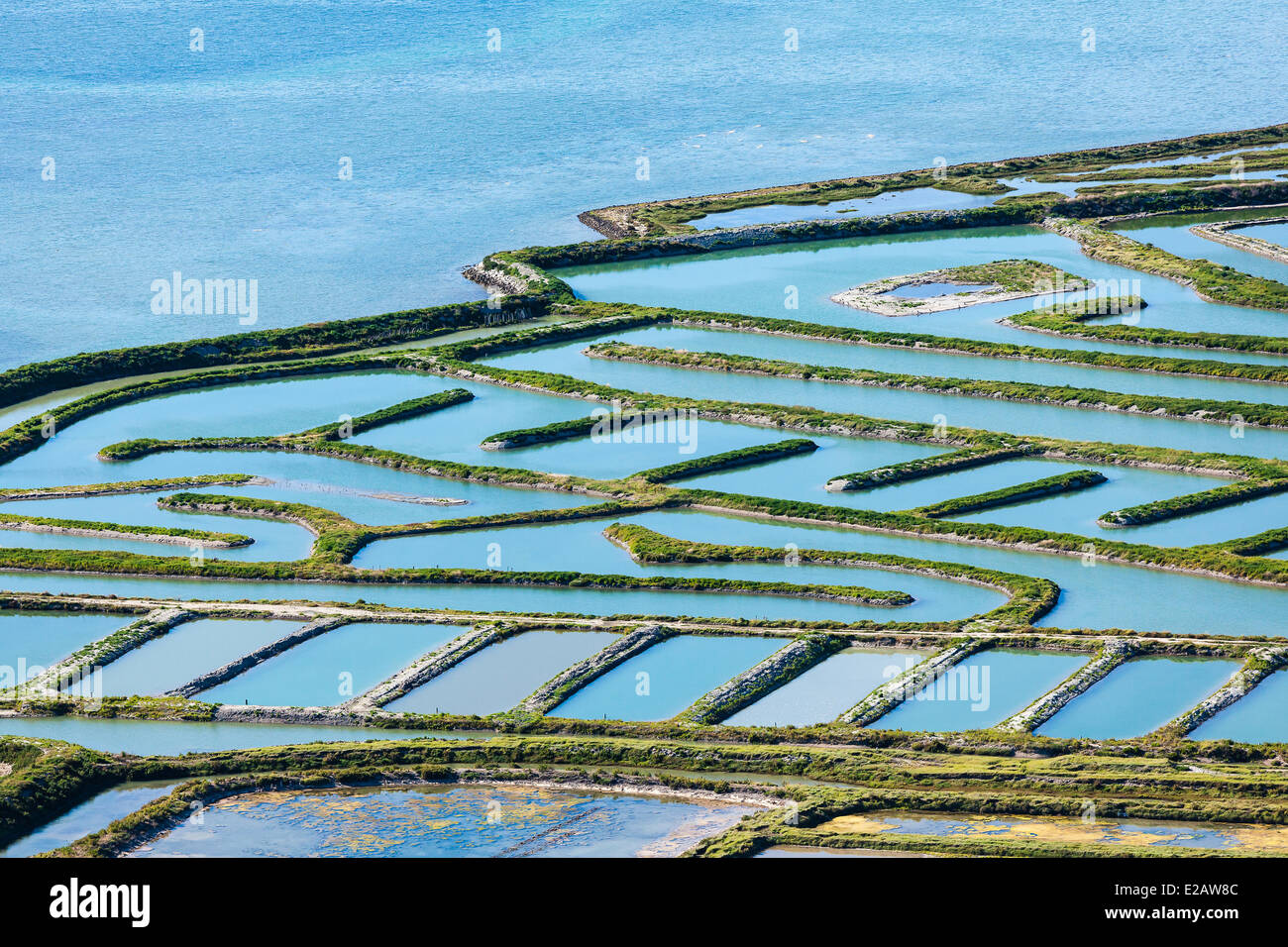Francia, Charente Maritime, Ile de Re, La Couarde sur Mer, il Fier d Ars paludi (vista aerea) Foto Stock