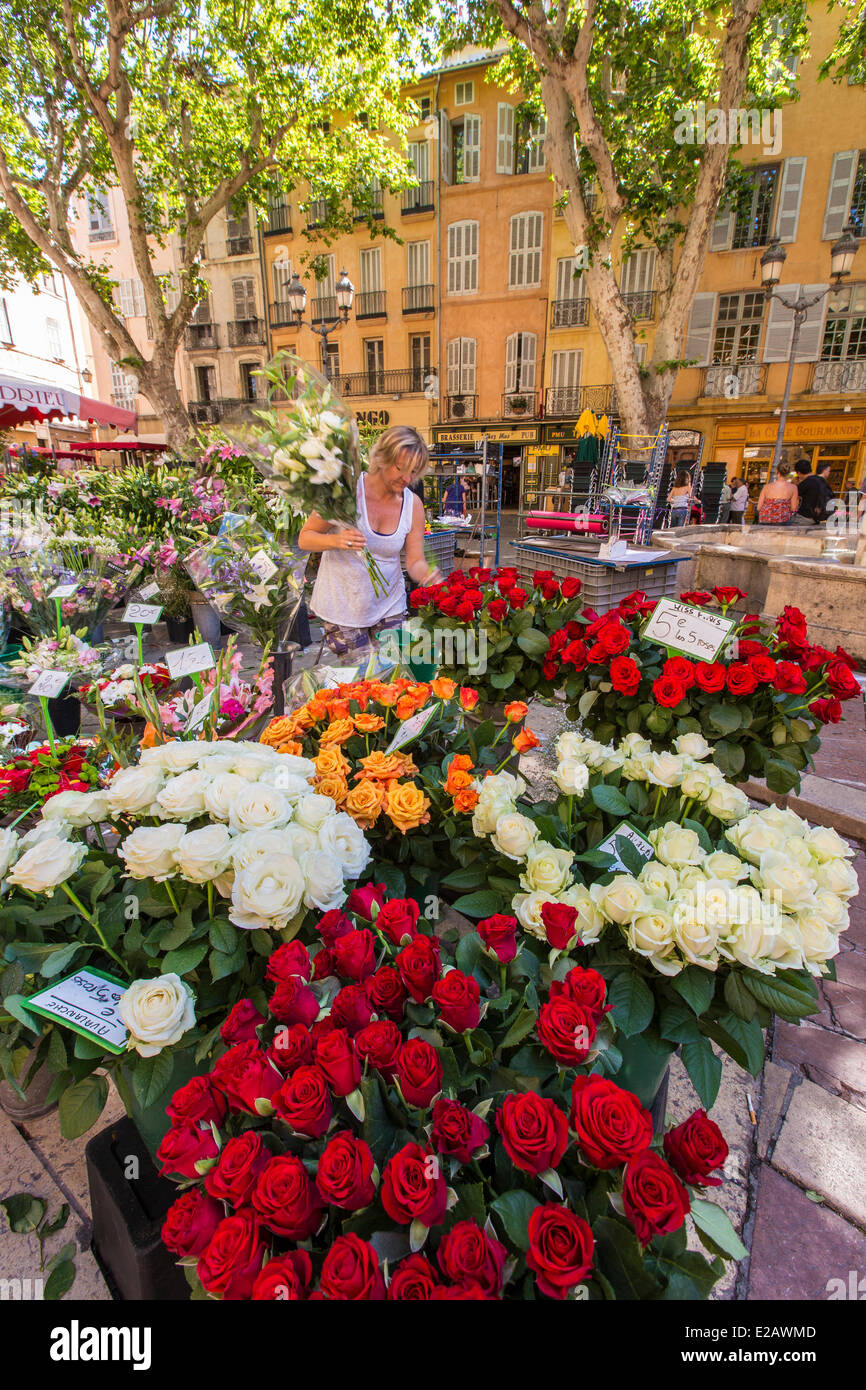 Francia, Bouches du Rhone, Aix en Provence, Place de l'Hotel de Ville, il mercato dei fiori Foto Stock