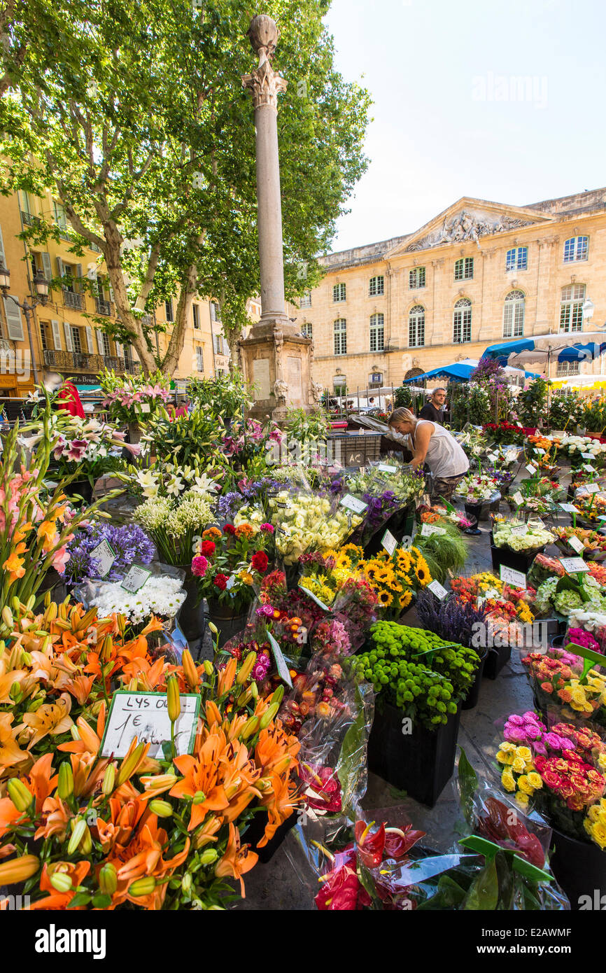 Francia, Bouches du Rhone, Aix en Provence, Place de l'Hotel de Ville, il mercato dei fiori Foto Stock