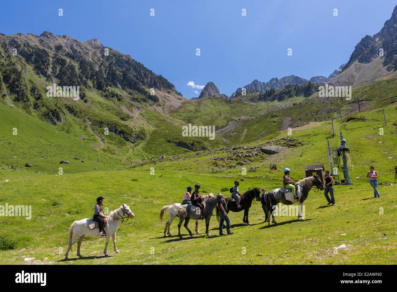 Francia, Hautes Pirenei, Bagneres de Bigorre, La Mongie, pony Foto Stock