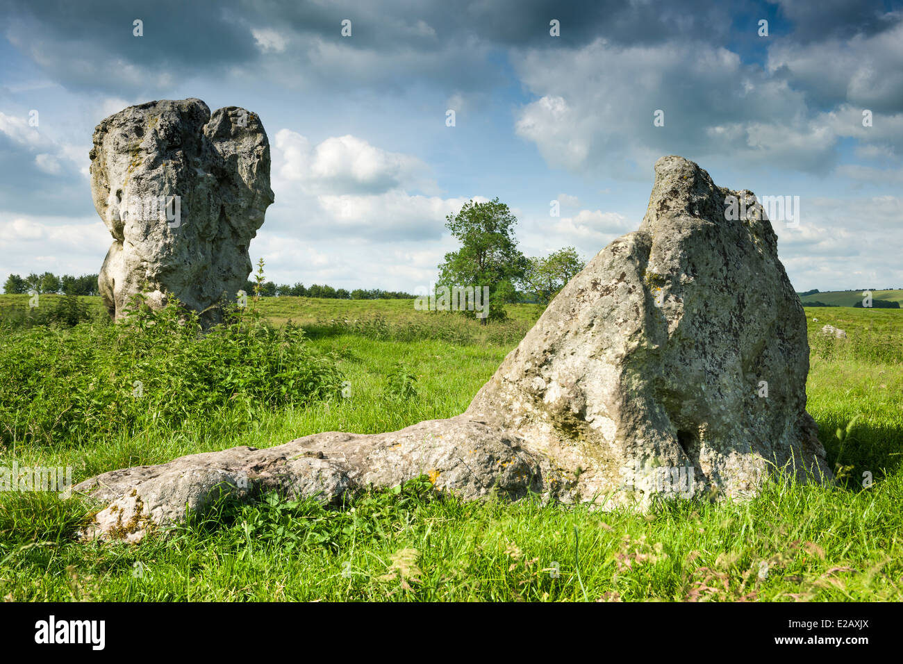 Due delle pietre Sarsen, bagnata nel giugno sunshire, ad Avebury nel Wiltshire - Inghilterra Foto Stock