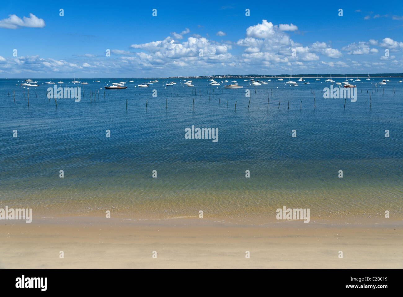 Francia, Gironde, Baia di Arcachon, Piraillan, ostriche con barche in background Foto Stock