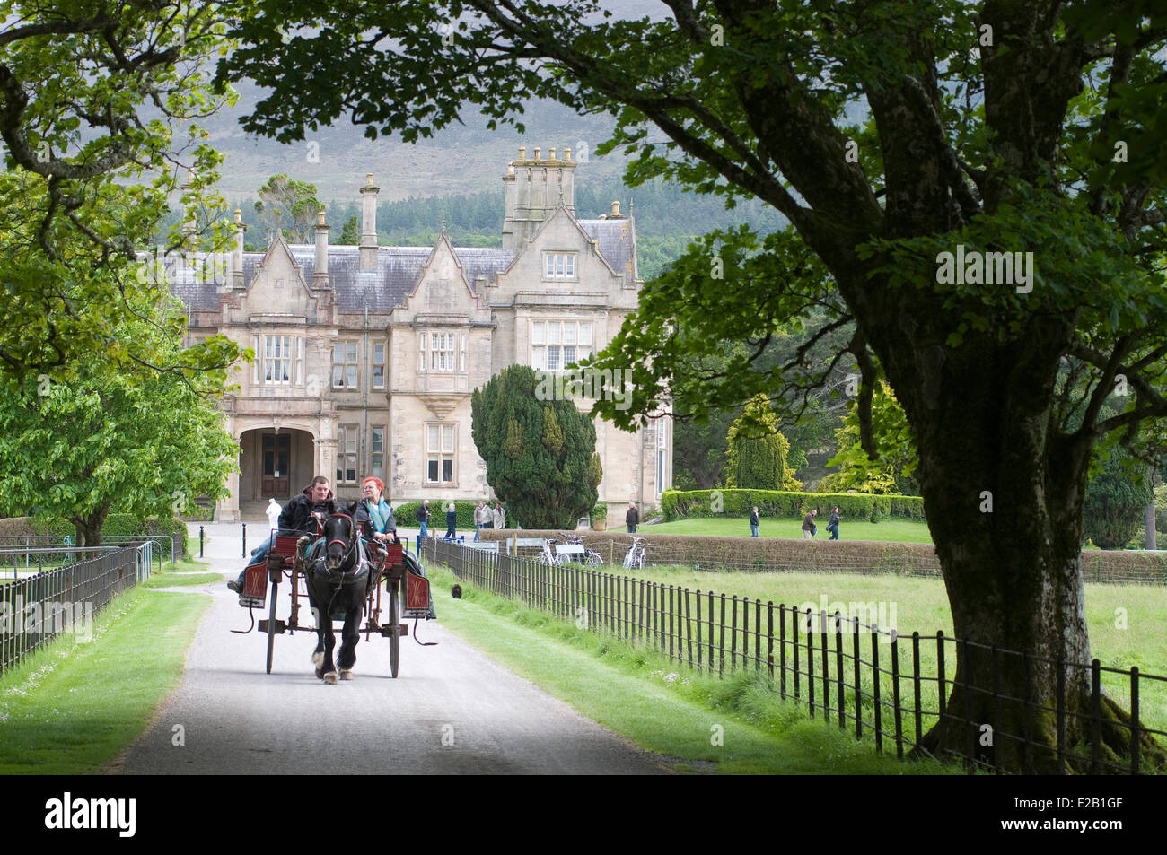 L'Irlanda, nella contea di Kerry, Killarney, Muckross House e giardini, cavallo carrozza nel Parco Foto Stock