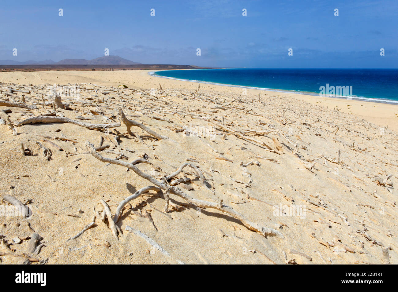 Capo Verde, Boavista, spiaggia di Coral Velho Foto Stock