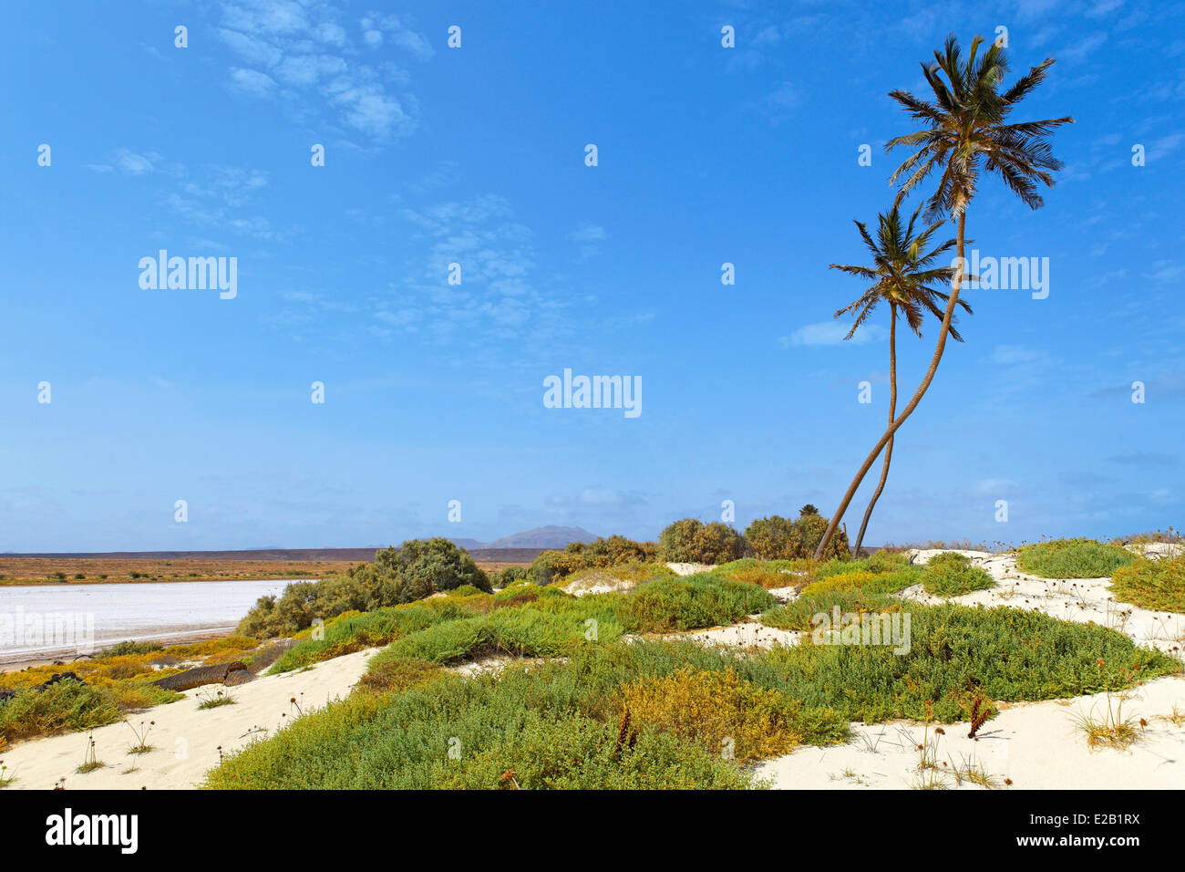 Capo Verde, Boavista, spiaggia di Coral Velho Foto Stock