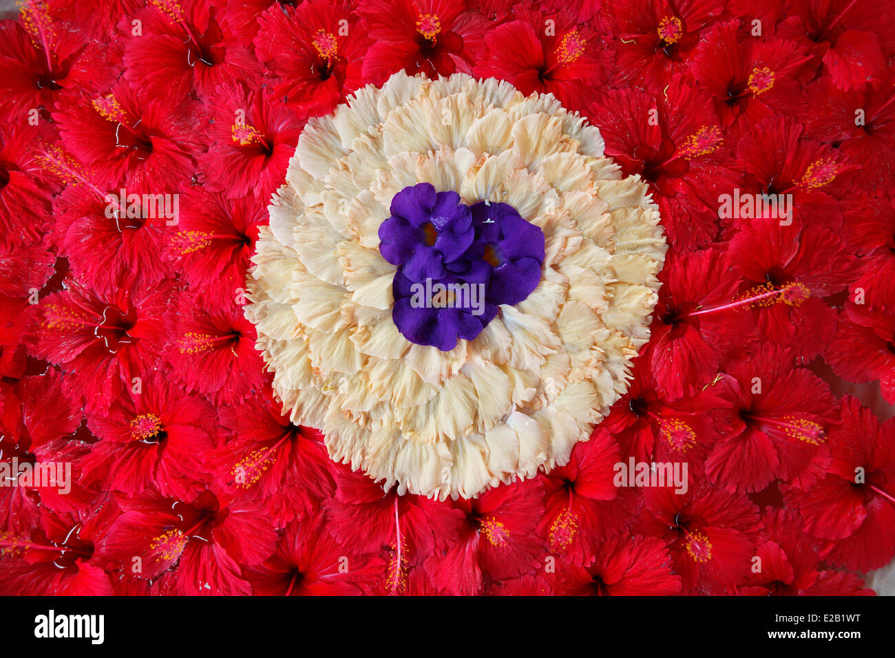 Maldive, decorazioni floreali Foto Stock