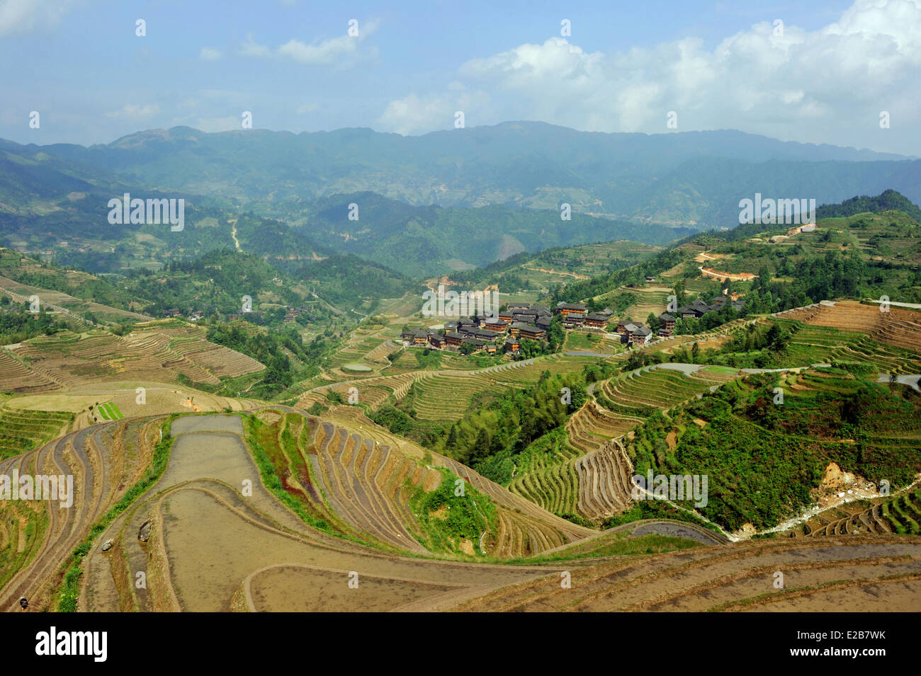 Cina, provincia di Guangxi, Longsheng, terrazze di riso a Longji Foto Stock