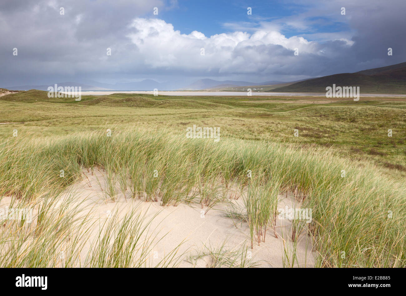 Guardando a Nord dalla costa vicino Northton, Isle of Harris, Ebridi Esterne, Scozia Foto Stock