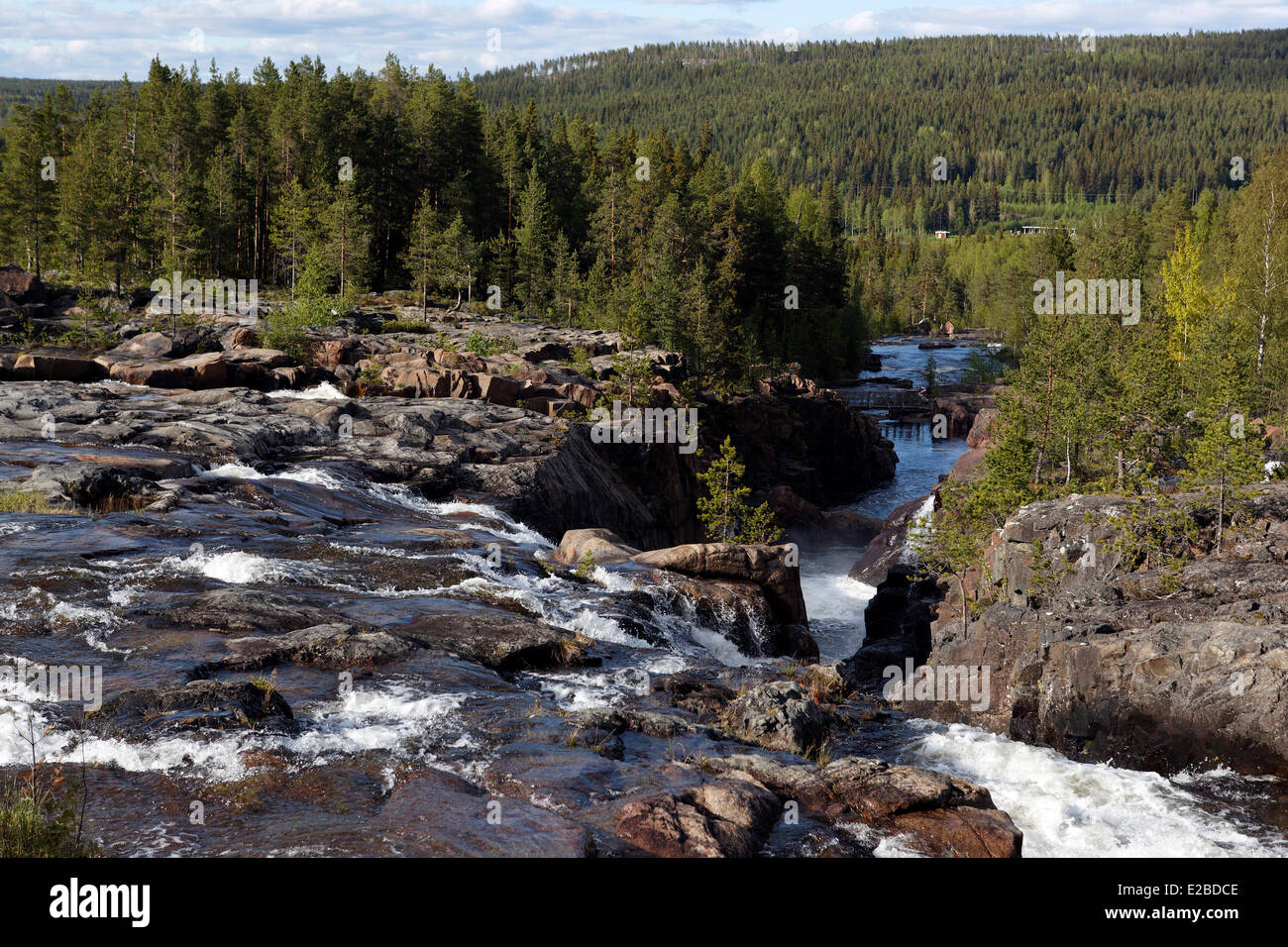 La Svezia, la Lapponia Norrbotten County, Storforsen cascata, la più grande delle cataratte naturale dell'Europa Foto Stock