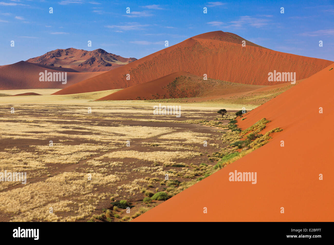 La Namibia, Regione di Hardap, Namib Naukluft National Park, Namib Desert, Sossusvlei, dune di sabbia Foto Stock
