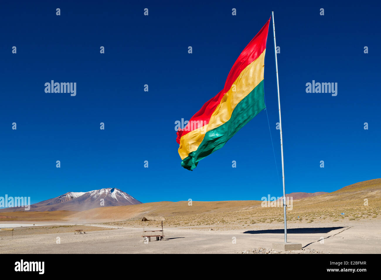 Bolivia, dipartimento di Potosi, Sur Lipez Provincia, Eduardo Avaroa fauna Andina riserva nazionale, Laguna Hedionda le cui acque pullulano Foto Stock