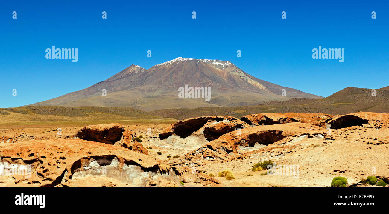 Bolivia, dipartimento di Potosi, Sur Lipez Provincia, Eduardo Avaroa fauna Andina riserva nazionale, el Cerro Tomasamil Foto Stock