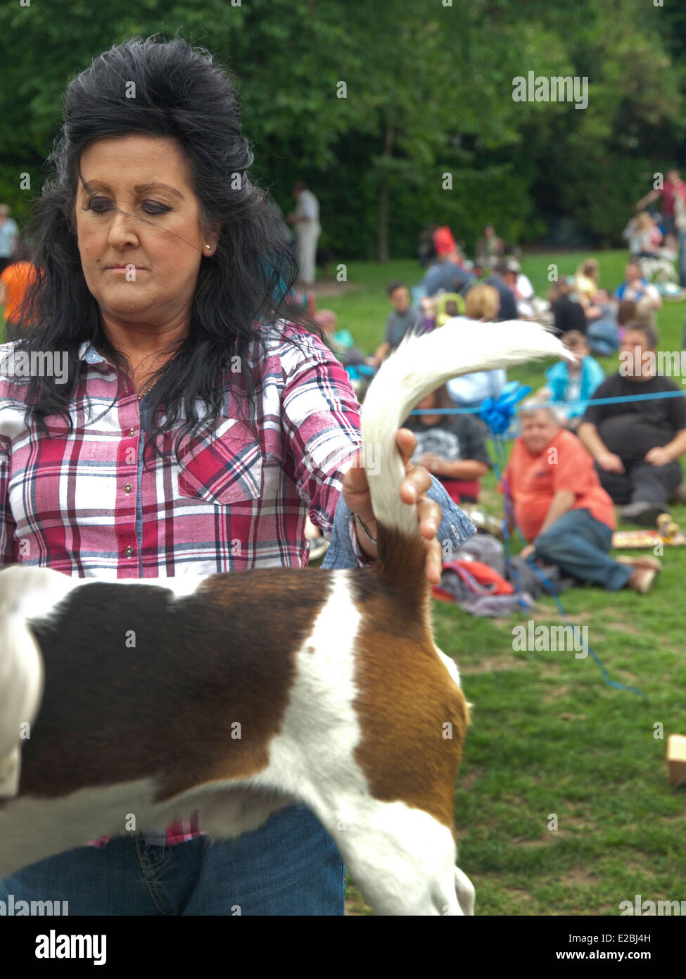 Un dog show in Queens Park, Brighton Foto Stock