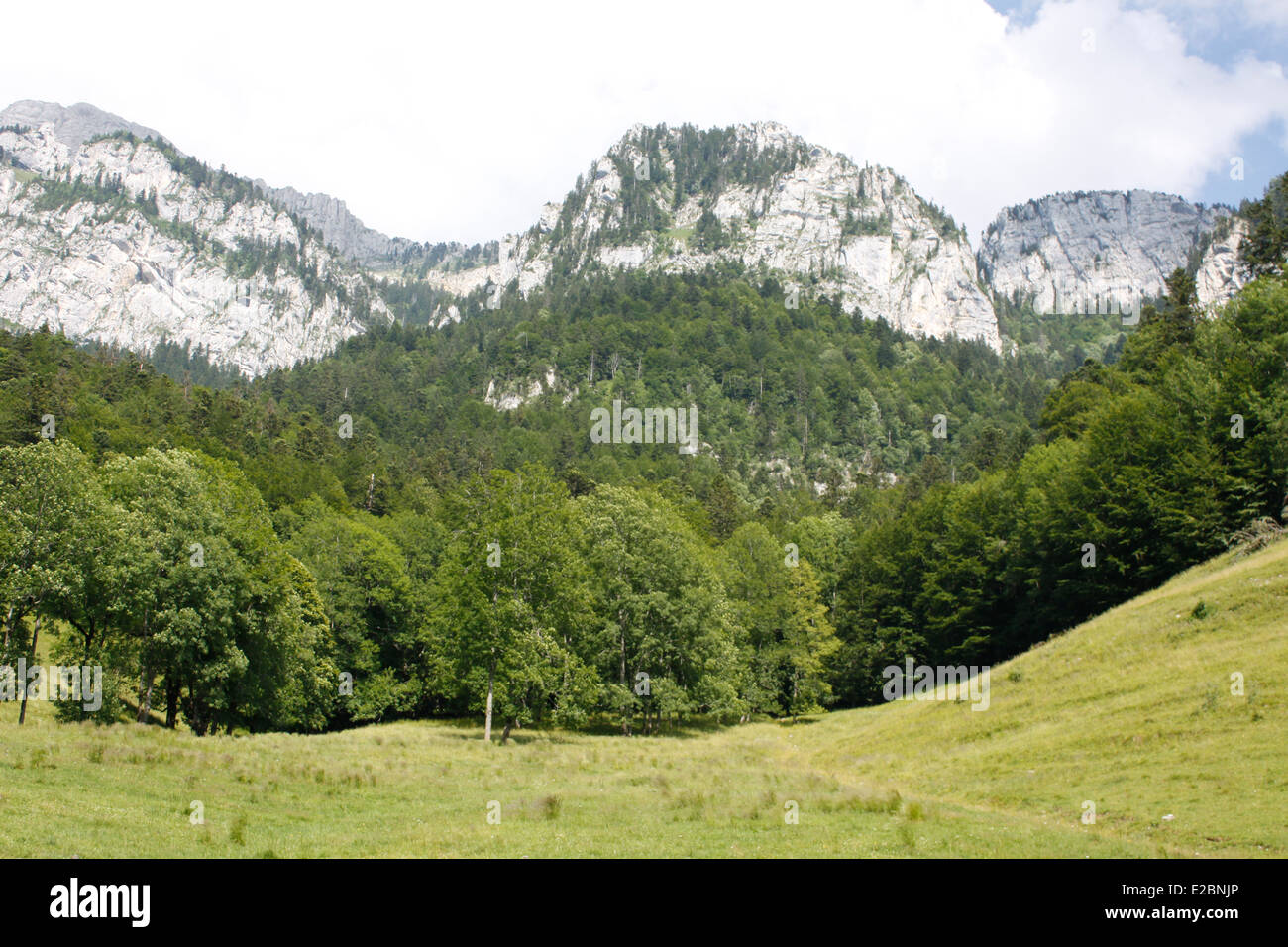 Montagna e prato, Monastero di La Grande Certosa nelle Alpi, Isère, Rhône-Alpes, in Francia. Foto Stock