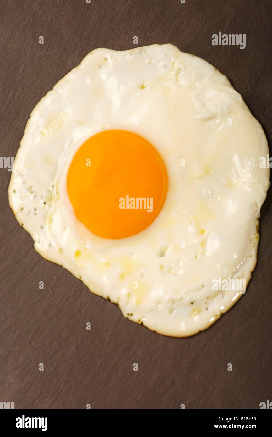 Uovo Foto Stock