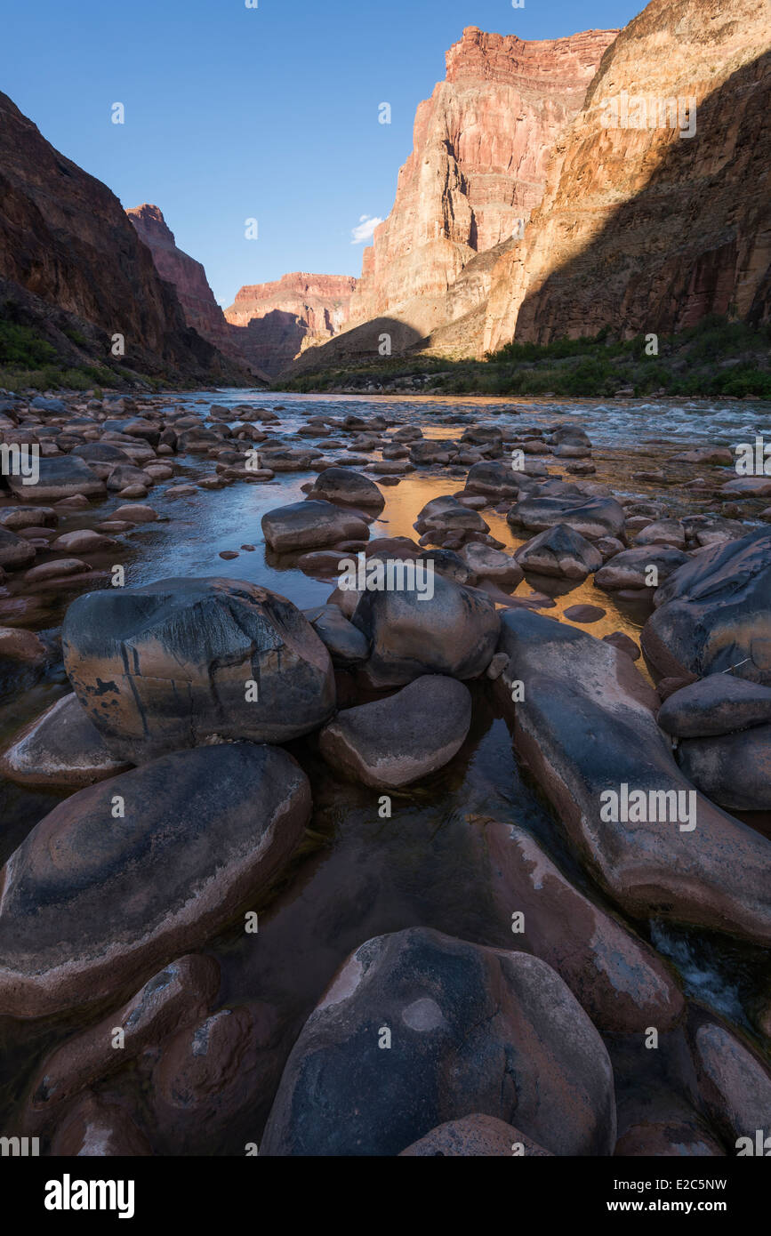 Massi e il Fiume Colorado sotto cascate di lava, il Grand Canyon, Arizona. Foto Stock