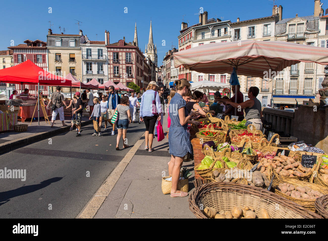Francia, Pirenei Atlantiques, Bayonne, quai Amiral Dubourdieu, giorno di mercato sul ponte di Marengo, architettura tradizionale sul fiume Nive banche e le frecce della cattedrale Saint Catherine Foto Stock