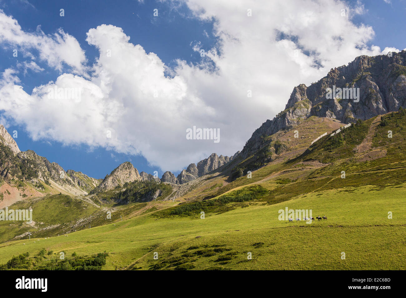 Francia, Hautes Pirenei, Bagneres de Bigorre, La Mongie, pony Foto Stock