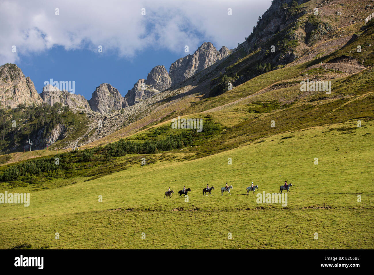 Francia, Hautes Pirenei, Bagneres de Bigorre, La Mongie, pony Foto Stock