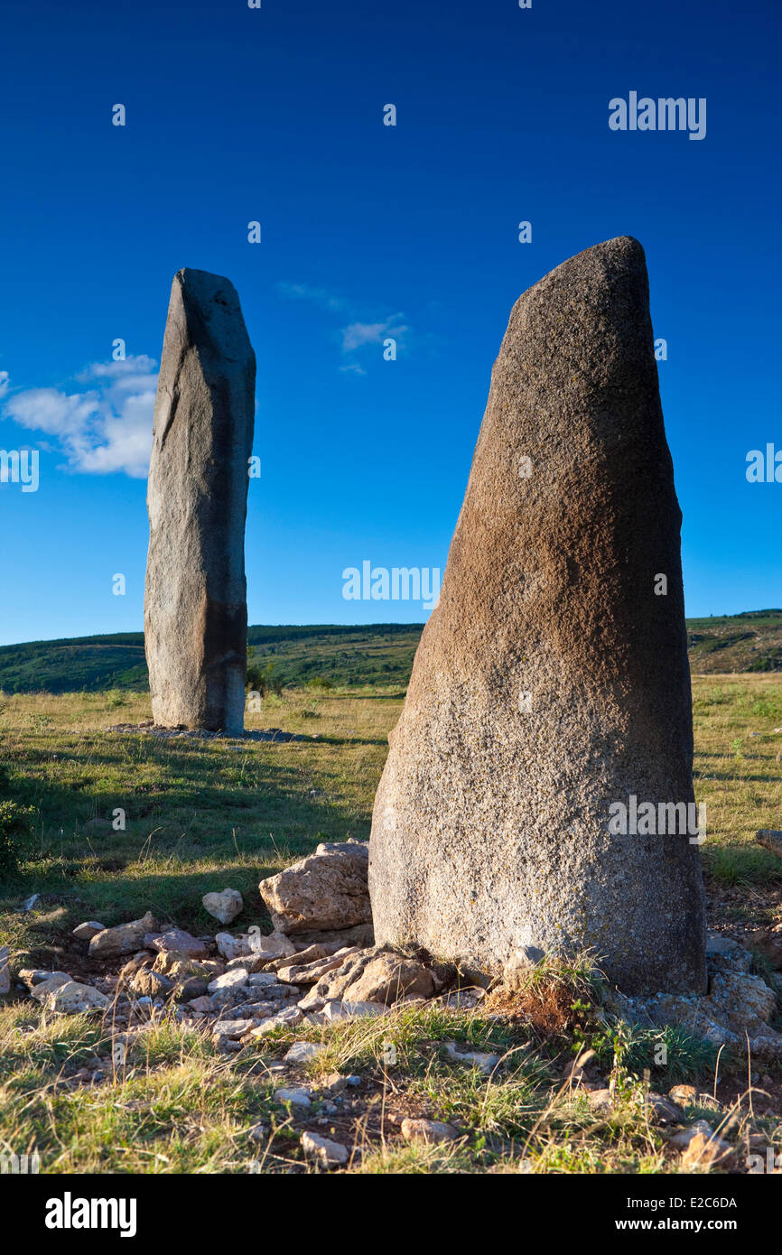 Francia, Lozère, Causses e Cévennes, Cham Bondons, altopiano calcareo, Trail Menhir Foto Stock