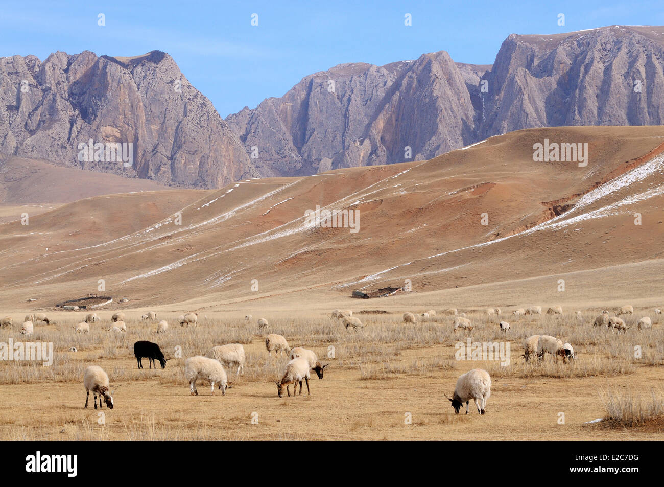 Cina, provincia di Gansu, Amdo, Xiahe county, Ganjia prati Foto Stock