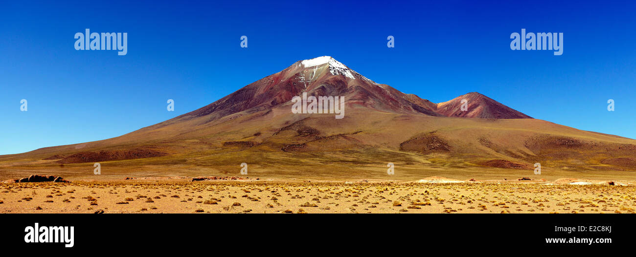Bolivia, dipartimento di Potosi, Sur Lipez Provincia, Eduardo Avaroa fauna Andina Riserva Nazionale, El Cerro Tomasamil Foto Stock