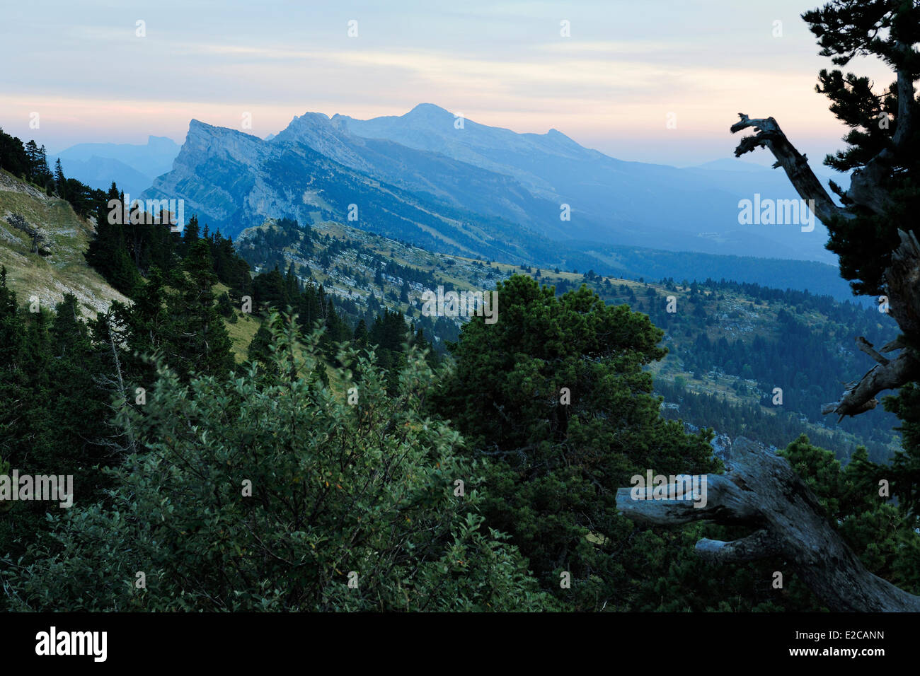 Francia, Isere, Parc Naturel Regional du Vercors (Parco Naturale Regionale del Vercors), nord del promontorio della barriera orientale di Vercors, i picchi della Grande Roche Saint Michel (frazioni di Moucherotte), la GR9 sentiero escursionistico al crepuscolo Foto Stock