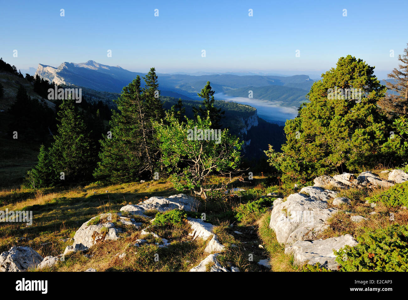 Francia, Isere, Parc Naturel Regional du Vercors (Parco Naturale Regionale del Vercors), nord del promontorio della barriera orientale di Vercors, i picchi della Grande Roche Saint Michel (frazioni di Moucherotte), la GR9 sentiero escursionistico Foto Stock