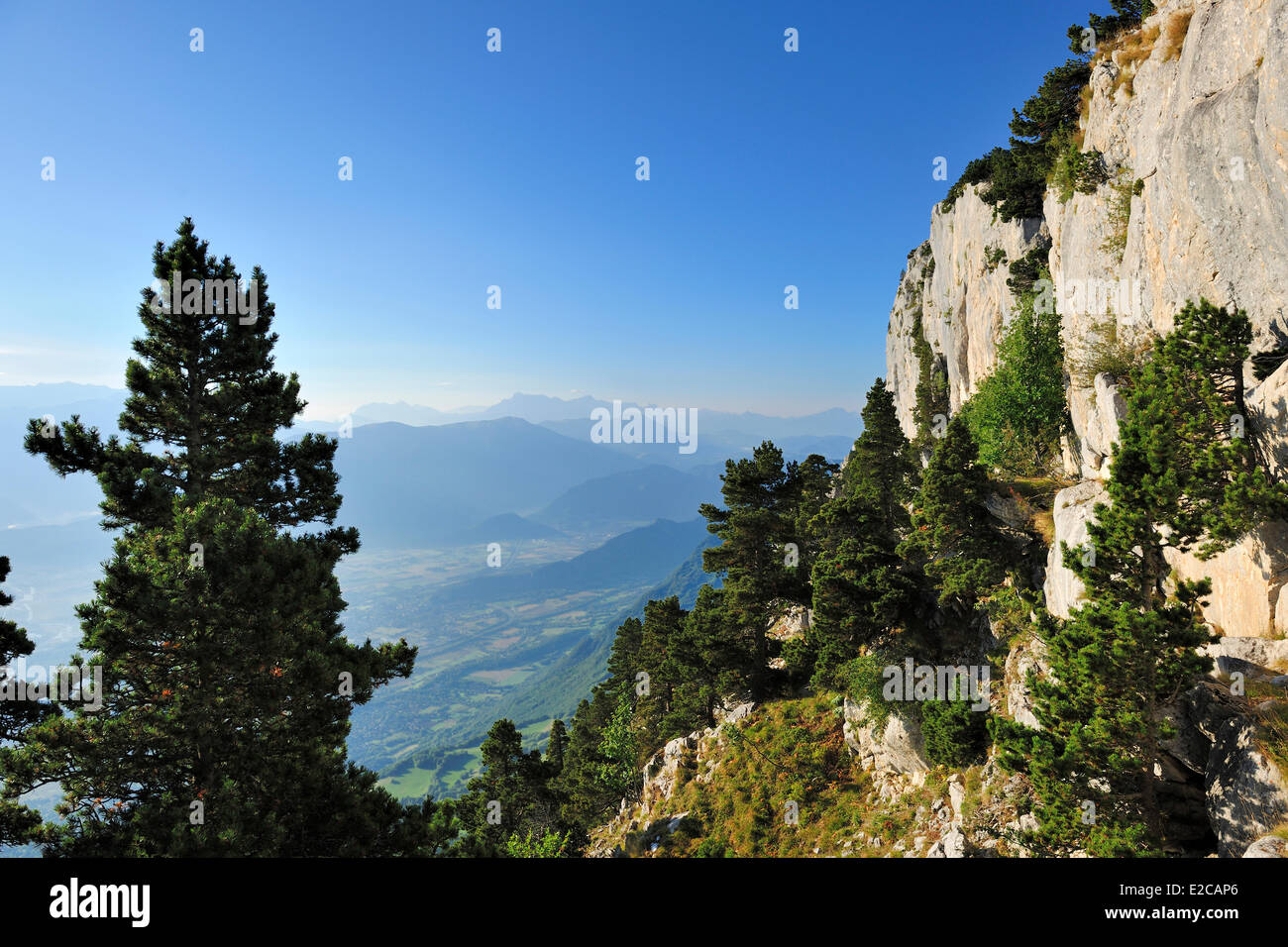 Francia, Isere, Parc Naturel Regional du Vercors (Parco Naturale Regionale del Vercors), nord del promontorio della barriera orientale di Vercors, i picchi della Grande Roche Saint Michel (frazioni di Moucherotte), la GR9 sentiero escursionistico Foto Stock