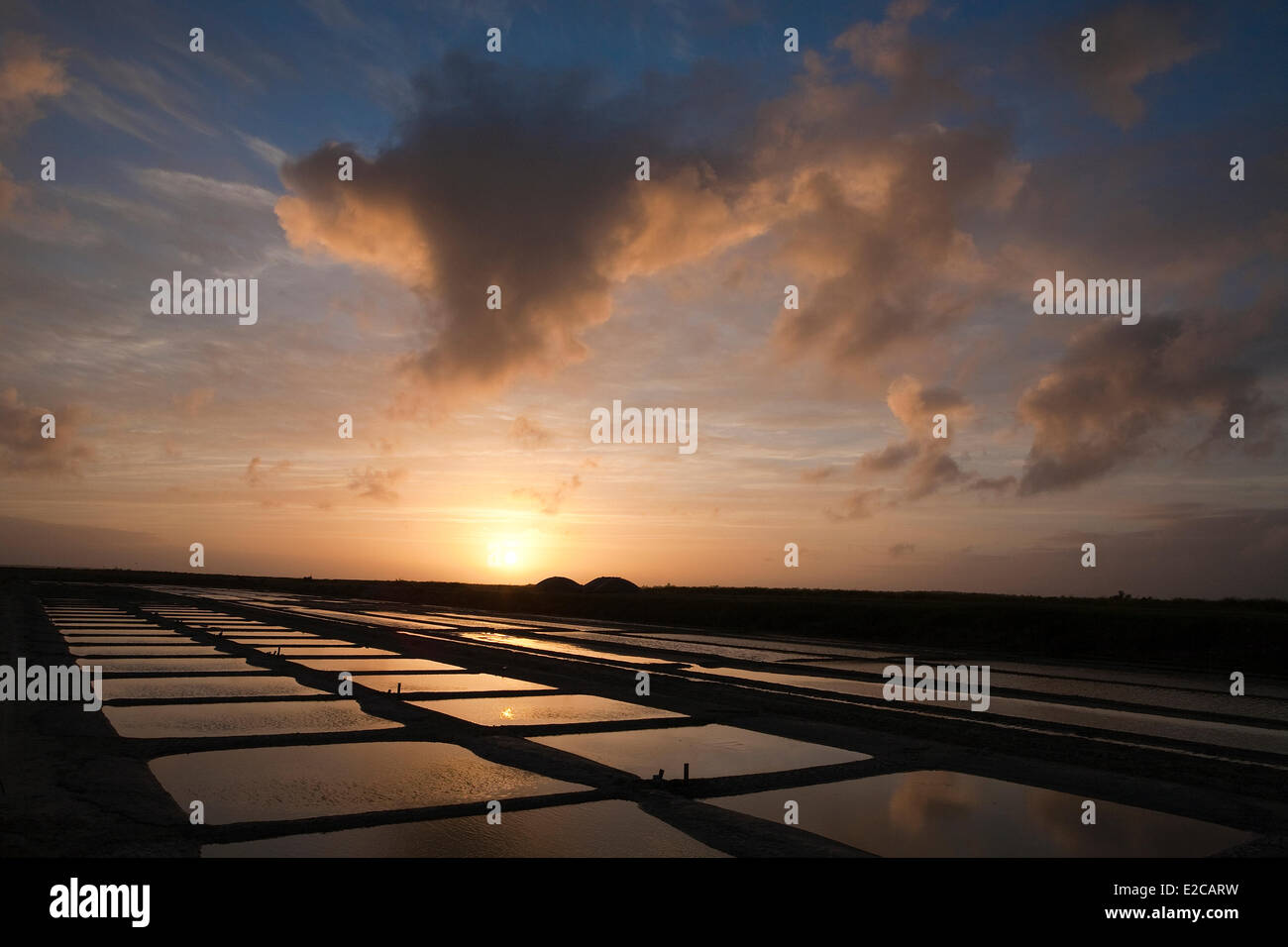 Francia, Charente Maritime, Ile de Re, Loix, Anse du Fier d Ars, il tramonto del saltmarsh Foto Stock