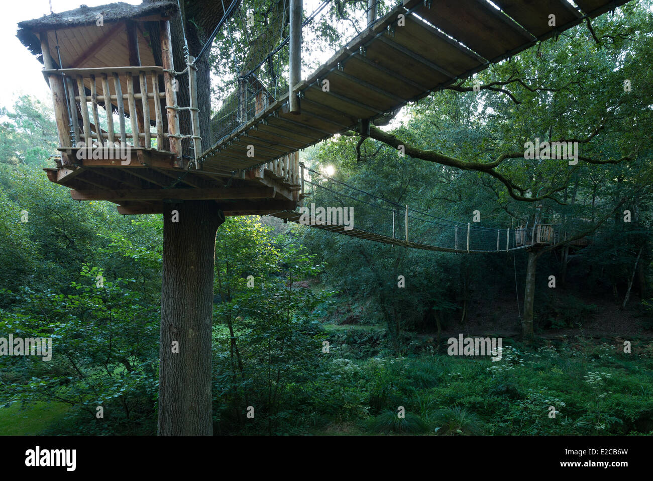 Francia, Morbihan, Nivillac, treehouse e ponte in alloggi insoliti sito del Pertuis Rofo Foto Stock