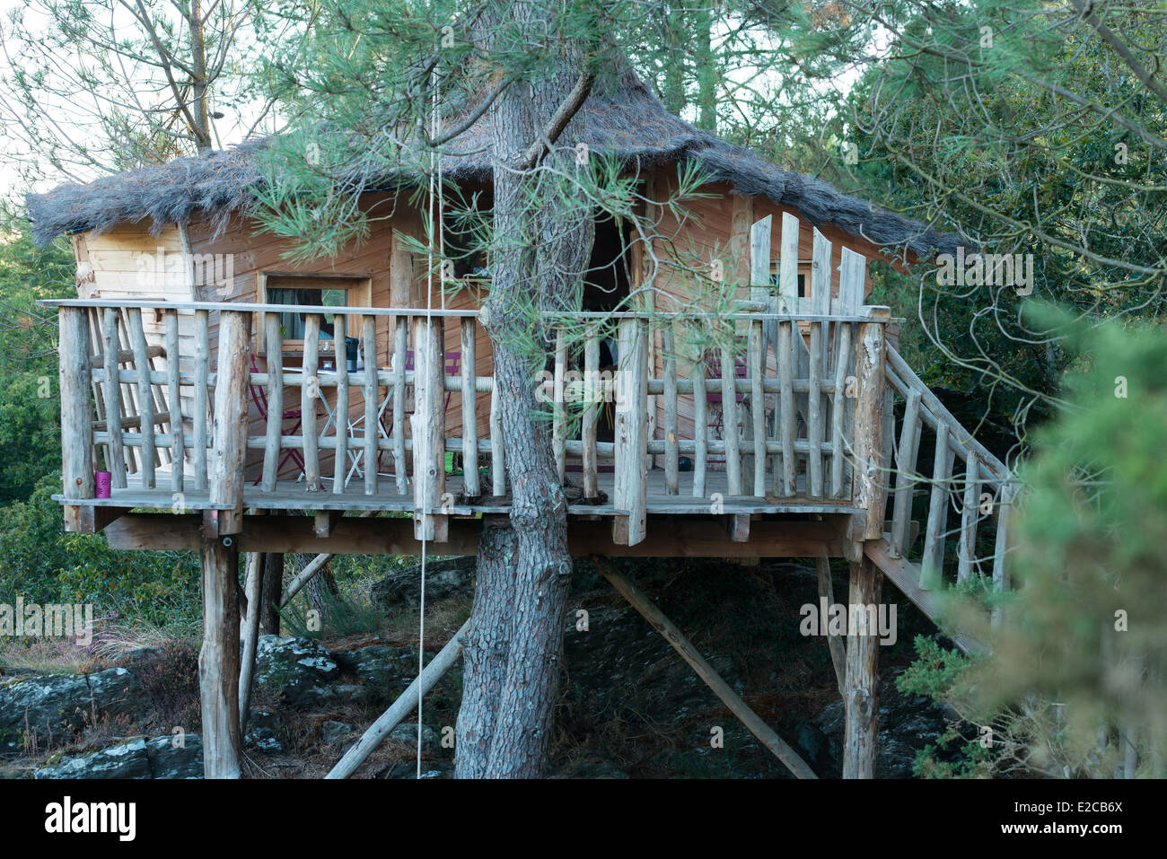 Francia, Morbihan, Nivillac, treehouse in alloggi insoliti sito del Pertuis Rofo Foto Stock