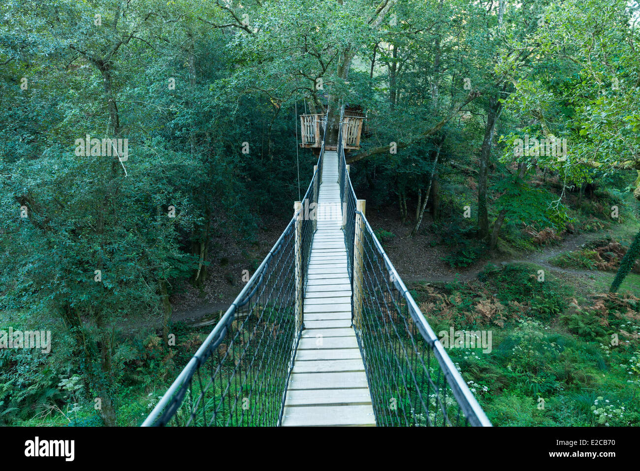 Francia, Morbihan, Nivillac, treehouse e ponte in alloggi insoliti sito del Pertuis Rofo Foto Stock