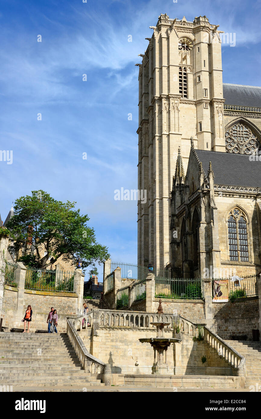 Francia, Sarthe, Le Mans,Cite Plantagenet (Città Vecchia), la scalinata monumentale ai piedi di Saint Julien cathedral Foto Stock