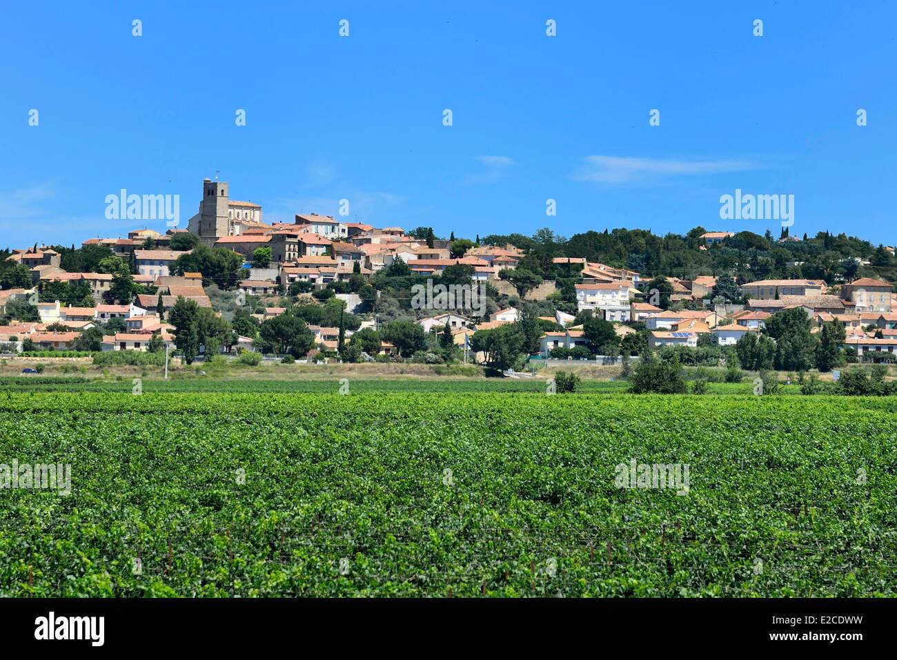 Francia, Herault, Corneilhan, vino borgo situato sulle alture di una collina che domina tutta la pianura di Orb Foto Stock