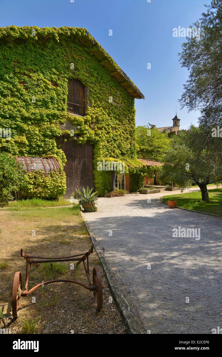 Francia, Herault, Servian, Eremo di Chateau de Combas, ex cantina coperto con la Virginia superriduttore Foto Stock