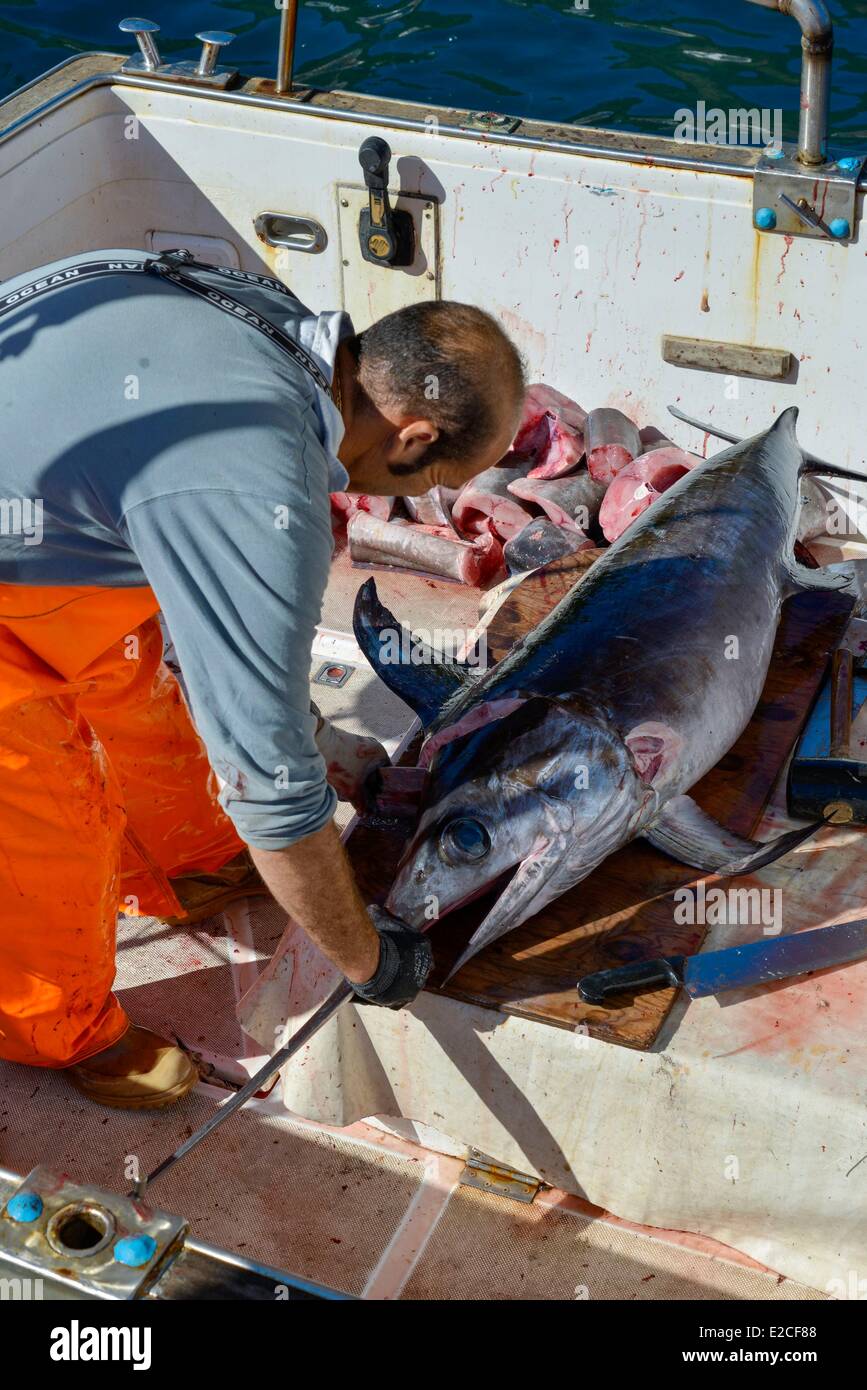 L'Italia, sicilia, isole Egadi, isola di Marettimo, porto di pescatori, il taglio di un pescatore di pesce spada in una barca Foto Stock