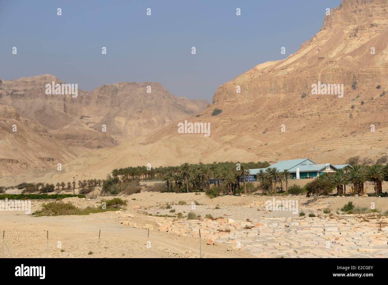 Palestina, West Bank (contestato territorio), Kibbutz sul Mar Morto Foto Stock