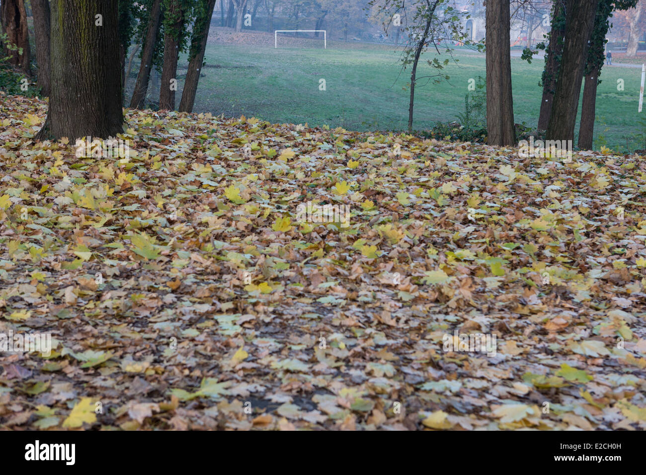 Foglie di colori di foglie di autunno autunno porta calcetto park italia alberi sport fitness eseguire donna uomo Foto Stock