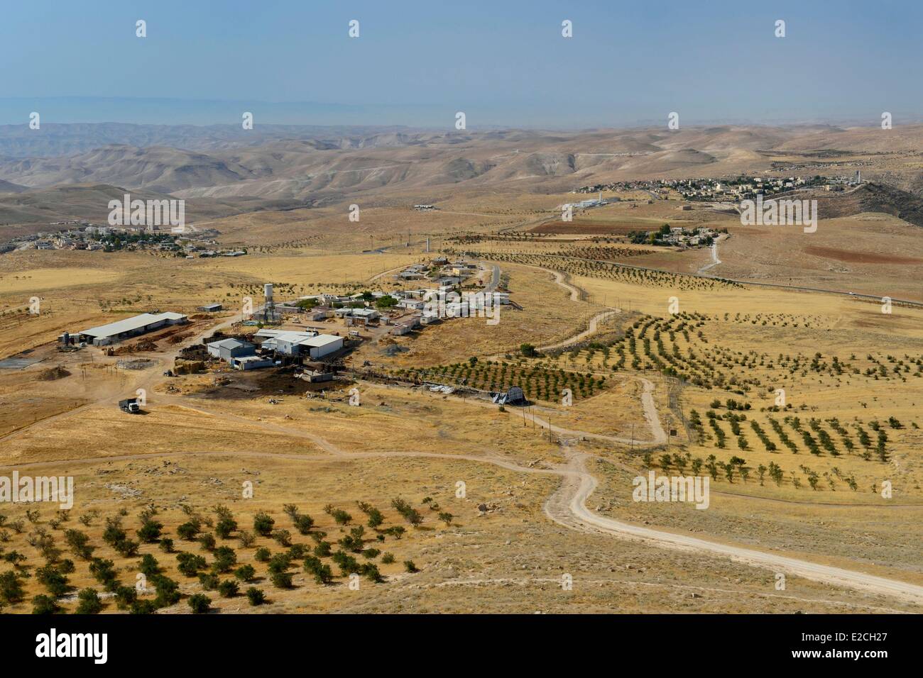 Palestina, West Bank (contestato territorio), regione di Betlemme, l'insediamento israeliano e un insediamento comunale Kfar Eldad affacciato sul deserto della Giudea Foto Stock