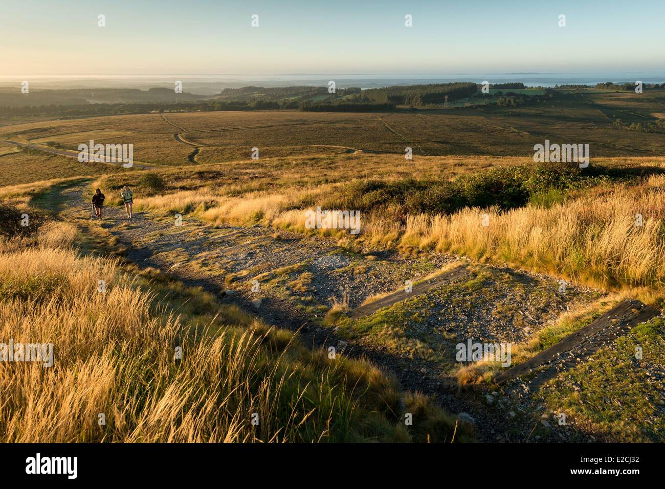 Francia, Finisterre, Parc Naturel Regional d'Armorique Armorica (Parco naturale regionale), Saint Rivoal, escursionismo sul Mont Saint Michel de Brasparts e vista dei Monts d'Arree Foto Stock