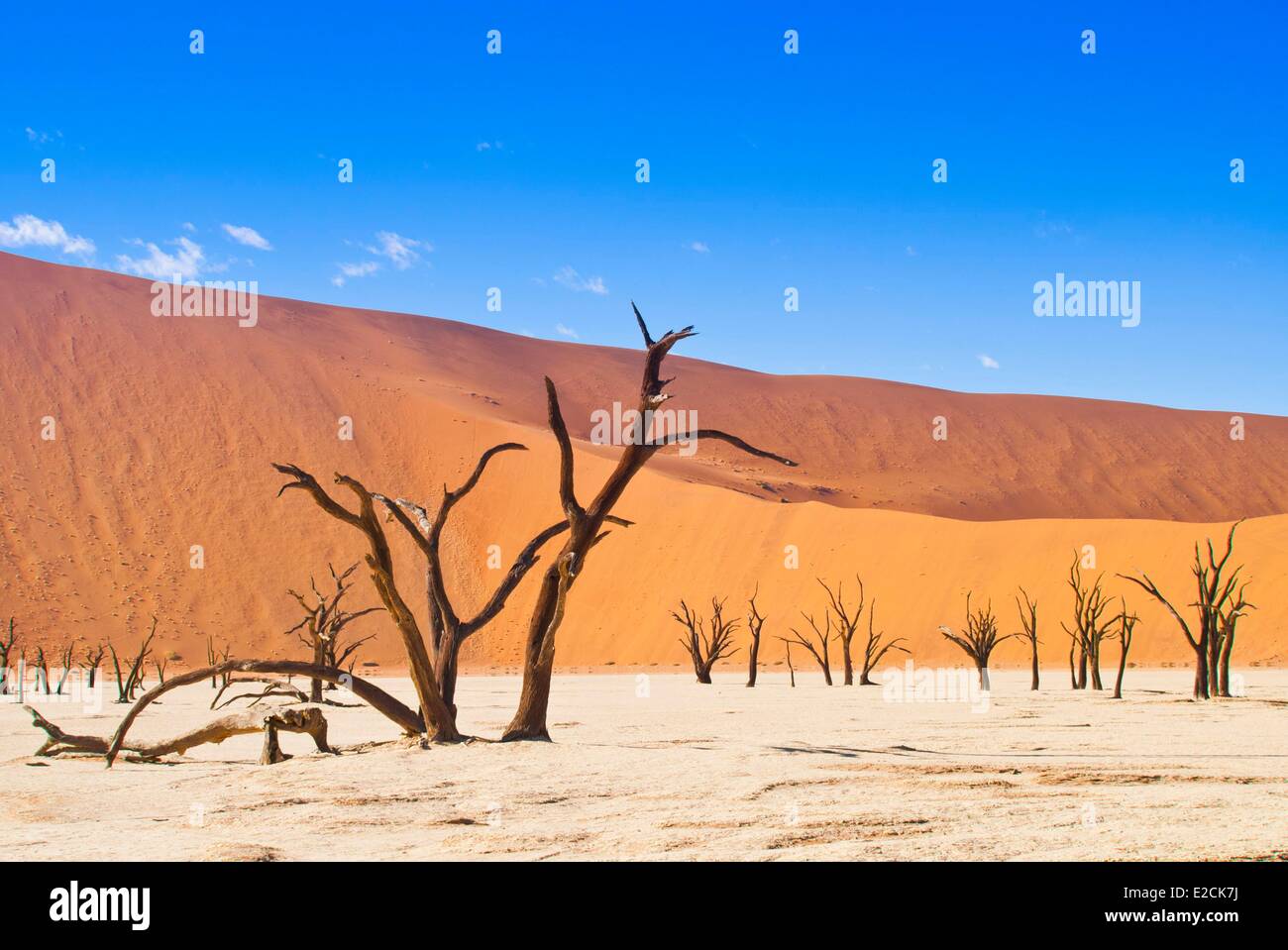 La Namibia, regione di Hardap, Namib Desert, Namib Naukluft Park, Dead Vlei, dune del Sossusvlei Foto Stock