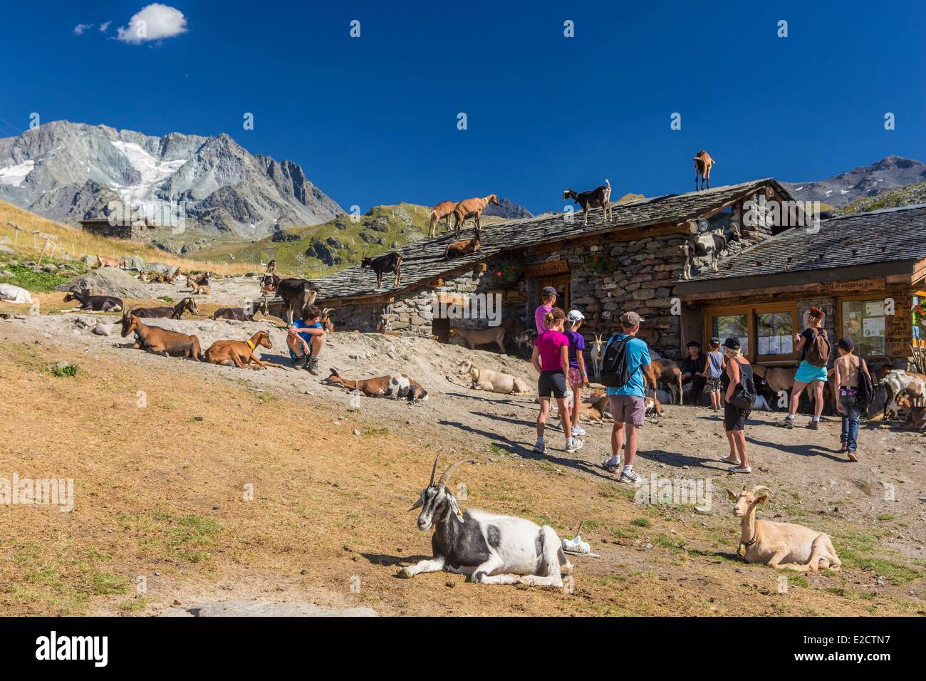 Francia Savoie Les Menuires farm il chasse vicino e Nicolas Pepe del ristorante con una vista dell'Aiguille di Peclet (3562m) Foto Stock