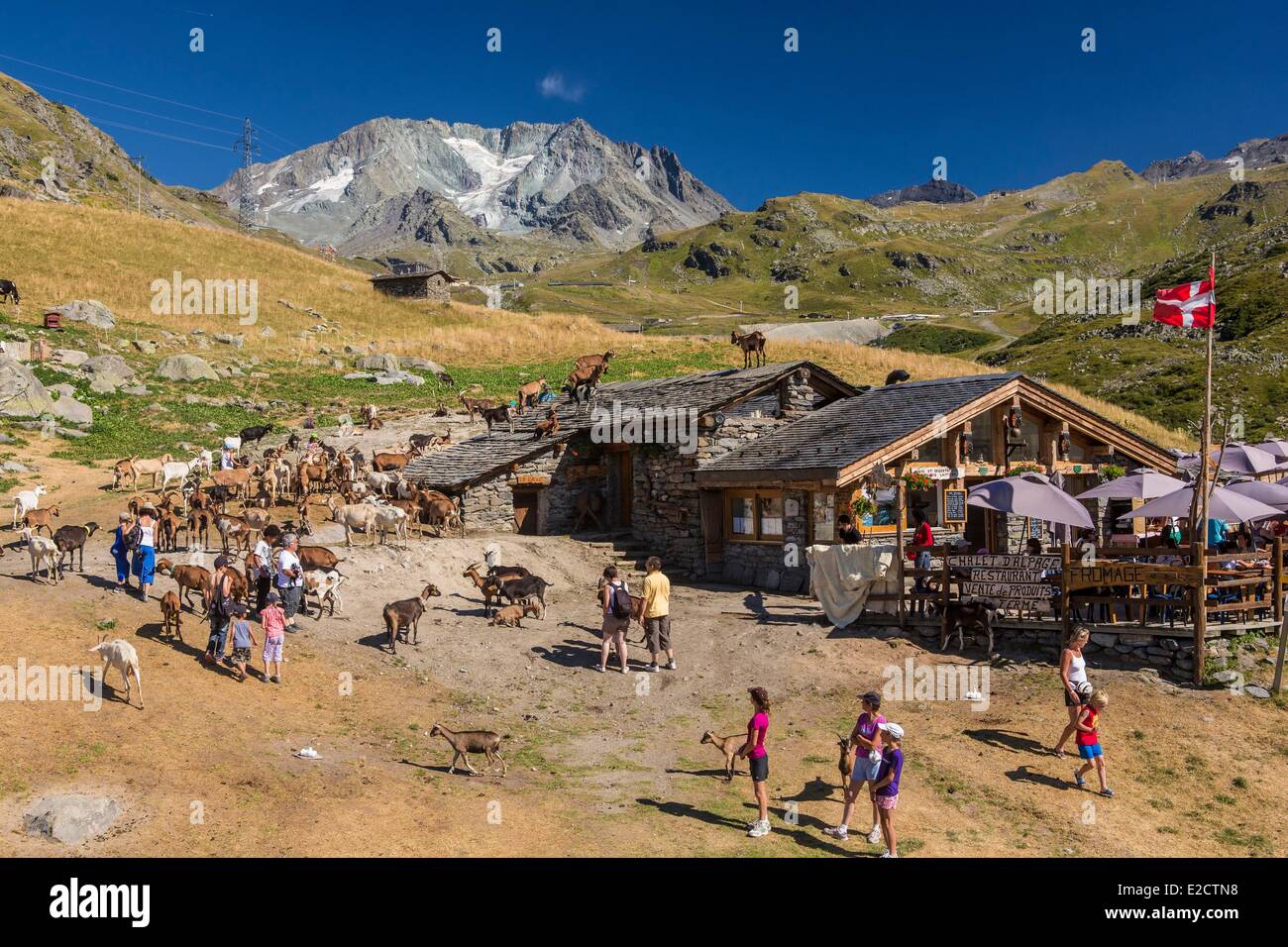 Francia Savoie Les Menuires farm il chasse vicino e Nicolas Pepe del ristorante con una vista dell'Aiguille di Peclet (3562m) Foto Stock