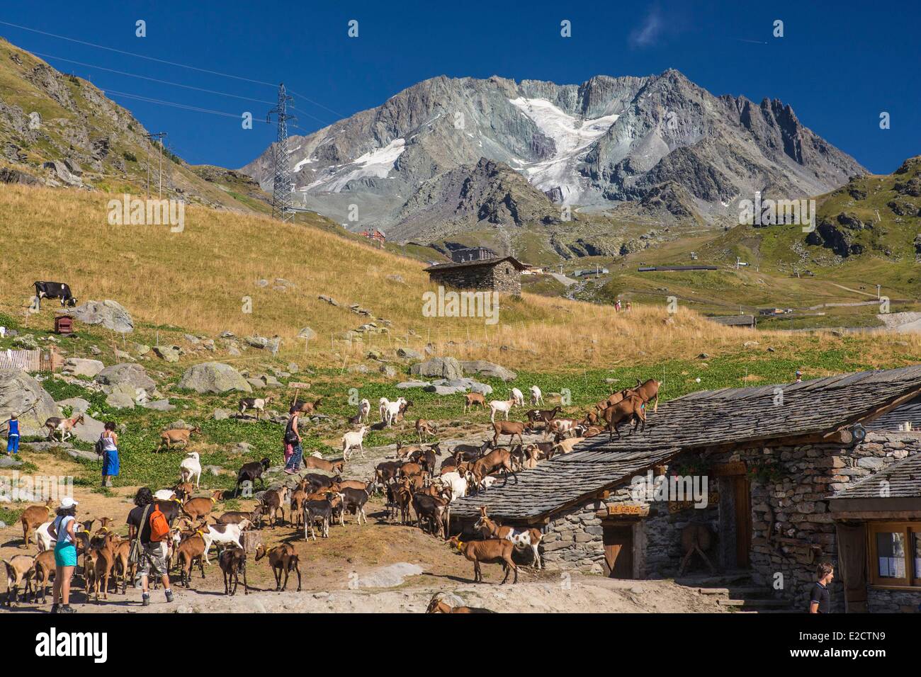 Francia Savoie Les Menuires farm il chasse vicino e Nicolas Pepe del ristorante con una vista dell'Aiguille di Peclet (3562m) Foto Stock