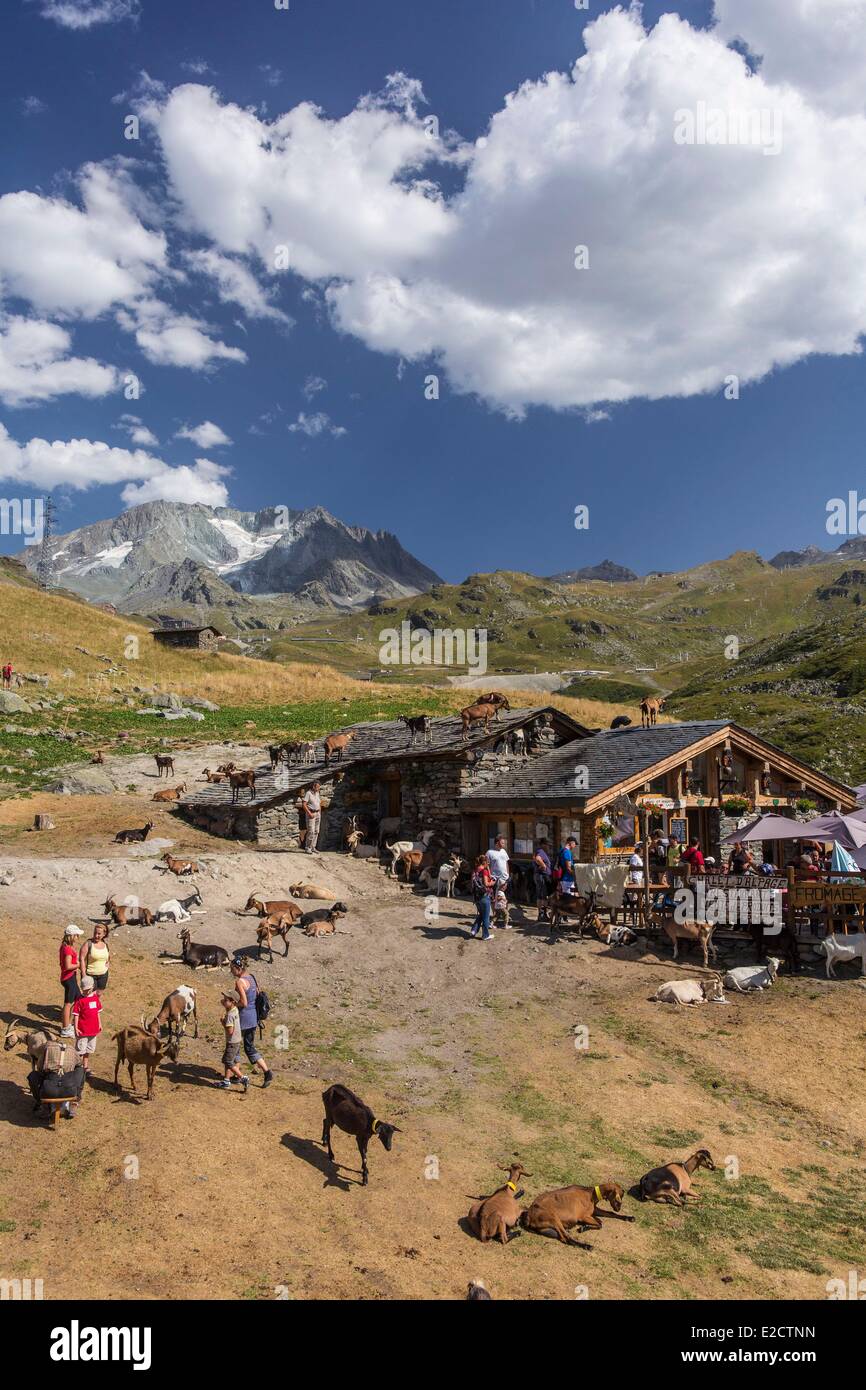 Francia Savoie Les Menuires farm il chasse vicino e Nicolas Pepe del ristorante con una vista dell'Aiguille di Peclet (3562m) Foto Stock