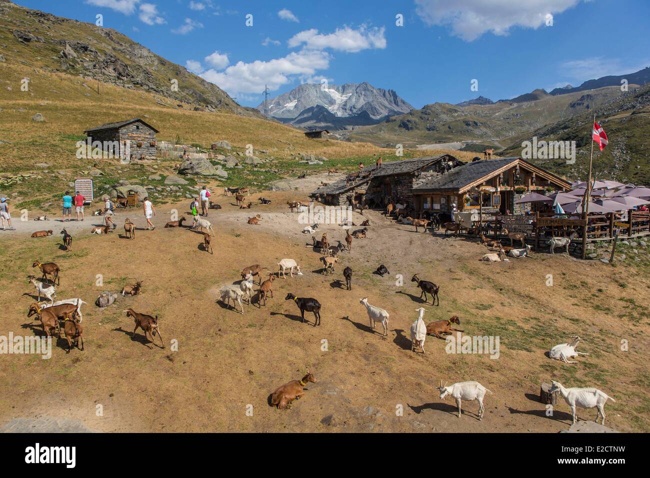 Francia Savoie Les Menuires farm il chasse vicino e Nicolas Pepe del ristorante con una vista dell'Aiguille di Peclet (3562m) Foto Stock