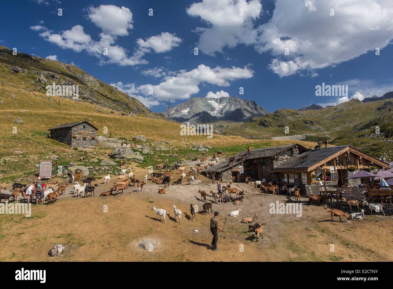 Francia Savoie Les Menuires farm il chasse vicino e Nicolas Pepe del ristorante con una vista dell'Aiguille di Peclet (3562m) Foto Stock