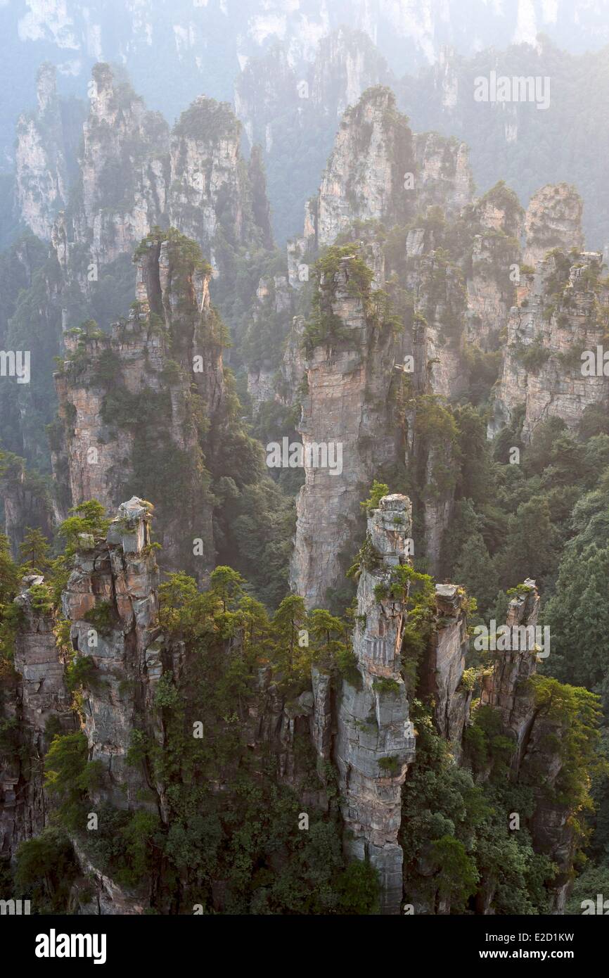 La Cina nella provincia del Hunan Zhangjiajie Wulingyuan Scenic Area Zhangjiajie National Forest Park elencati come patrimonio mondiale dall' UNESCO Foto Stock