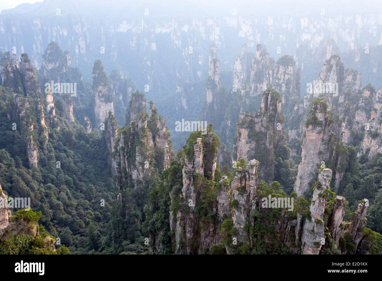 La Cina nella provincia del Hunan Zhangjiajie Wulingyuan Scenic Area Zhangjiajie National Forest Park elencati come patrimonio mondiale dall' UNESCO Foto Stock